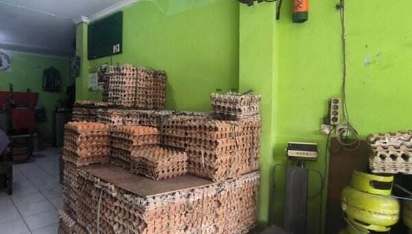 Harga Telur Ayam Ras Tembus Rp31.500 per Kg, Stabil Jelang Akhir Tahun