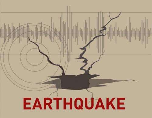 Ende NTT Diguncang Gempa Magnitudo 4,2, Kedalaman 10 KM