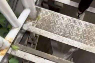 Pemprov Jakarta Catat Belasan JPO Rusak, Bakal Masuk Program Pemeliharaan Tahun Ini