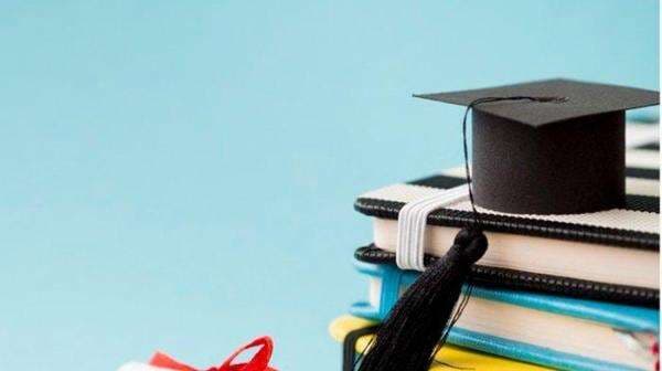 Riwayat Pendidikan Pengurus Danantara, dari Lulusan UI hingga Harvard