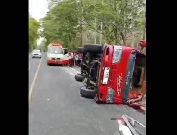 Bus Rombongan Pelajar Terguling di Hutan Situbondo, 7 Orang Jadi Korban