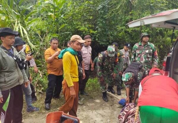 Diduga Diserang Harimau, Warga Tewas dengan Kondisi Tubuh Tercabik-cabik