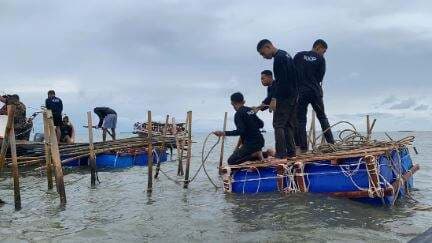 TNI AL soal Pagar Laut di Pesisir Tangerang: 15,5 Km Sudah Dibongkar, 14,66 Km Masih Tertancap