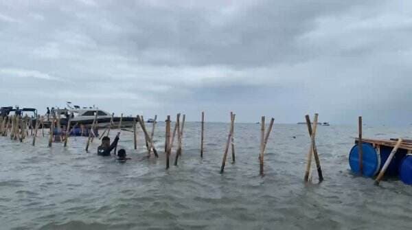 Terungkap! Pagar Laut Ada di Mana-Mana, KKP Tangani 196 Kasus