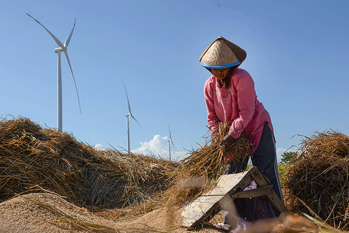 Panen Raya Padi Diproyeksi Capai Rekor Baru pada Mei 2025, Swasembada Pangan Semakin Dekat? Panen Raya Padi Diproyeksi Capai Rekor Baru pada Mei 2025, Swasembada Pangan Semakin Dekat?