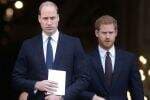 Pangeran William dan Harry hanya Bisa Berdamai Jika Syarat Ini Dipenuhi