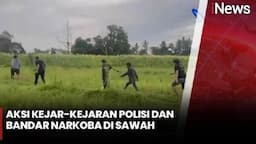 Meresahkan, Bandar Narkoba Ditangkap Personel Polresta Padang di Persawahan