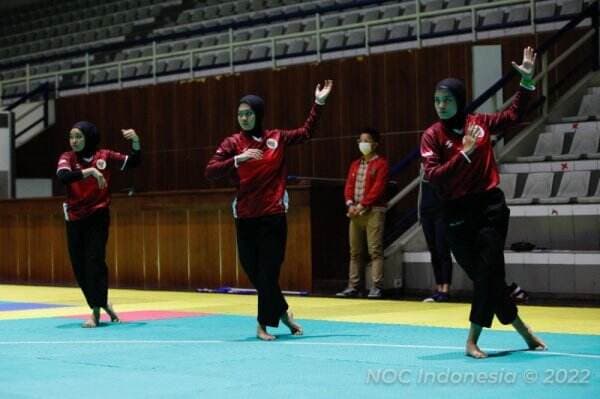 Kenapa Pendekar Pencak Silat Tidak Ada di UFC dan MMA?