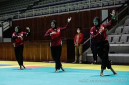 Kenapa Pendekar Pencak Silat Tidak Ada di UFC dan MMA?