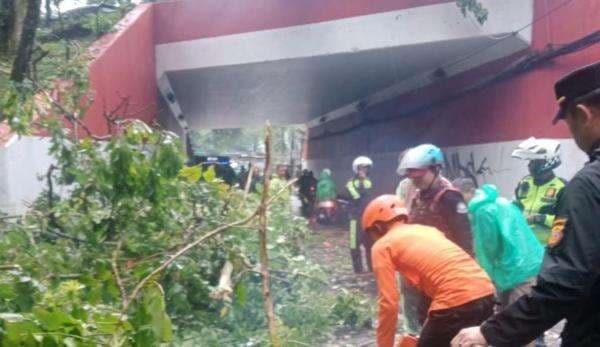 Hujan Angin, Pohon di Jalan Alternatif Sentul Bogor Tumbang Hujan Angin, Pohon di Jalan Alternatif Sentul Bogor Tumbang
