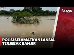 Detik-detik Menegangkan Polisi Lawan Arus Banjir Demi Selamatkan Nyawa Lansia