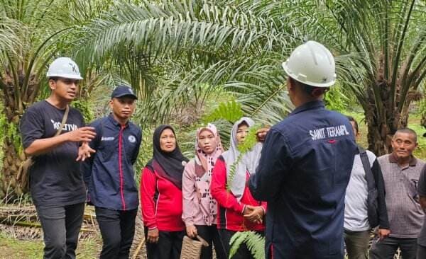 Program Sawit Terampil Dukung Petani Swadaya Penuhi Standar Berkelanjutan 