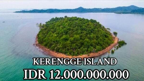 Viral Pulau Dijual Seharga Rp12 Miliar, Netizen Nilai Kemurahan!