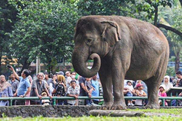Dishub DKI Terapkan Sistem Satu Arah ke Ragunan saat Lebaran