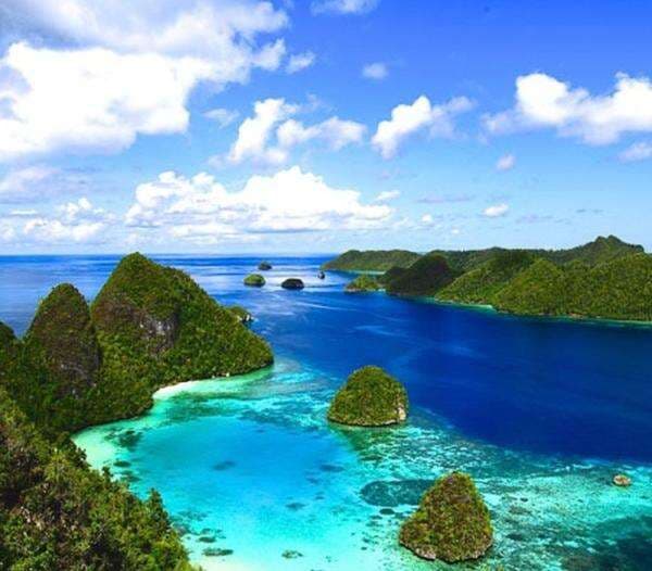 KUIS: Nama Surga Bawah Laut di Papua yang Mendunia? KUIS: Nama Surga Bawah Laut di Papua yang Mendunia?