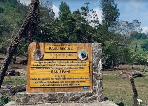 Siap-Siap, Kawasan Wisata Ranu Regulo Kembali Dibuka 10 September 2024