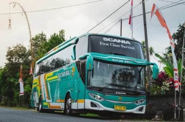 Terlibat Kecelakaan Maut di Pantura, Ini Kisah PO Bus Surya Bali Mengarungi Jalur Jakarta-Bali Sejak 2008