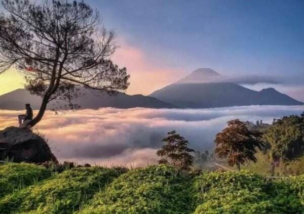 5 Destinasi Wisata Wonosobo, Cocok Dikunjungi Bersama Keluarga