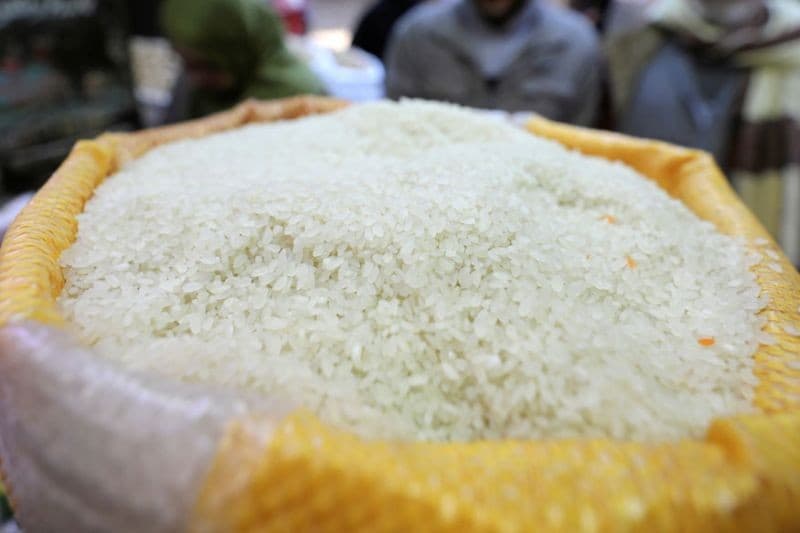 RI Impor 1.000 Ton Beras AS saat Swasembada, Diklaim Tak Akan Berdampak ke Produksi Nasional RI Impor 1.000 Ton Beras AS saat Swasembada, Diklaim Tak Akan Berdampak ke Produksi Nasional