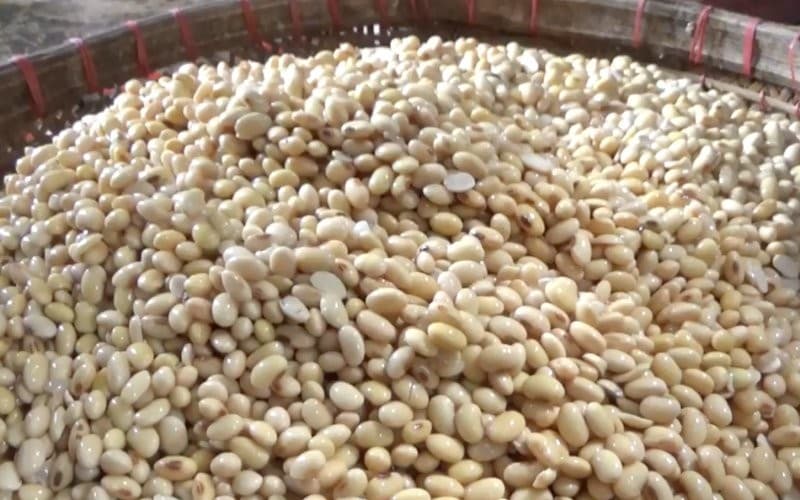 Harga Kedelai Terkendali, Distributor dan Importir Wajib Patuhi Harga Acuan Harga Kedelai Terkendali, Distributor dan Importir Wajib Patuhi Harga Acuan