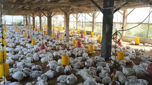 Kantongi Restu Rights Issue, WMPP Siap Tebar 8,5 Miliar Saham Baru Kantongi Restu Rights Issue, WMPP Siap Tebar 8,5 Miliar Saham Baru