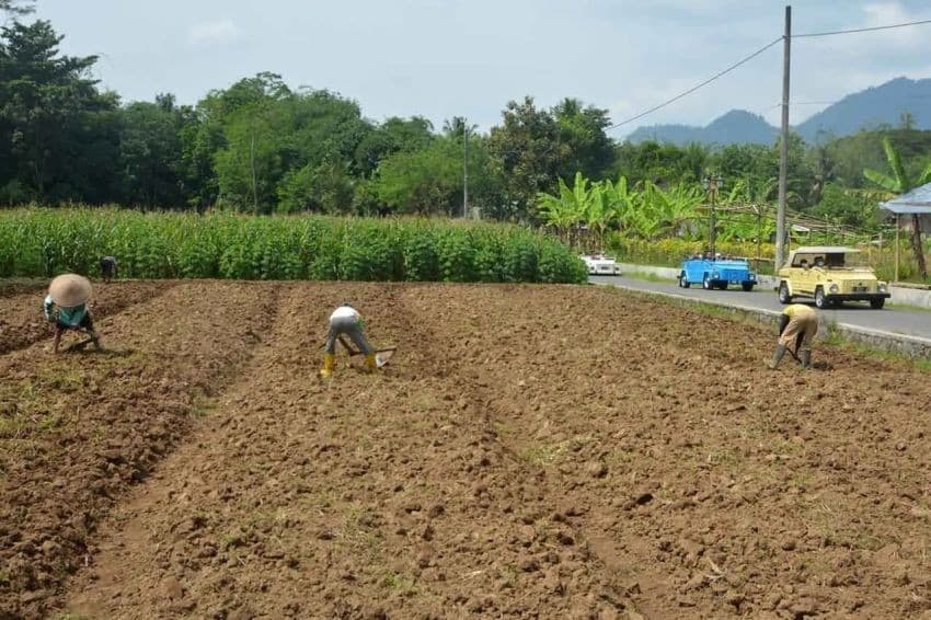 Hindari Modus Penipuan, Warga Diminta Pastikan Petugas Ukur Tanah Resmi dari BPN Hindari Modus Penipuan, Warga Diminta Pastikan Petugas Ukur Tanah Resmi dari BPN