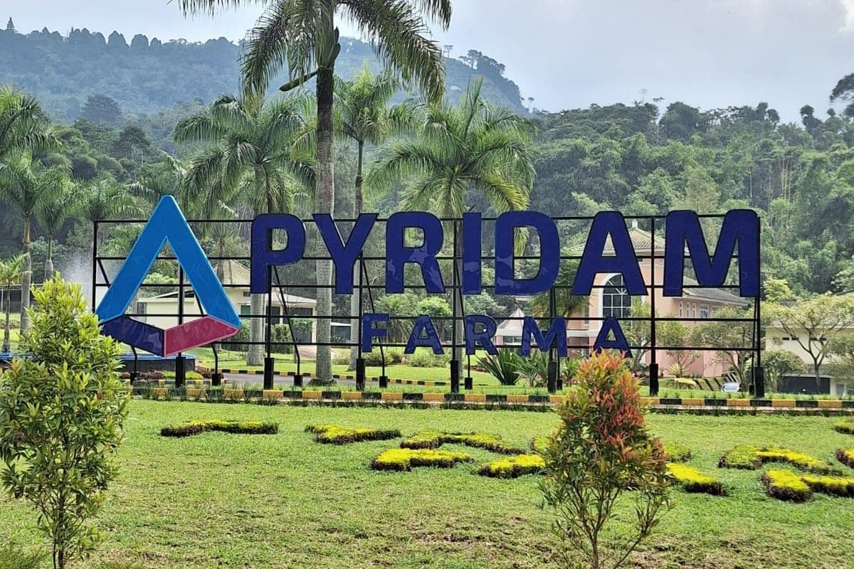 Tumbuh 43,7 Persen, Pyridam Farma (PYFA) Kantongi Penjualan Rp2,76 Triliun di 2025 Tumbuh 43,7 Persen, Pyridam Farma (PYFA) Kantongi Penjualan Rp2,76 Triliun di 2025