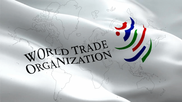 Menteri Perdagangan Dunia Gelar Pertemuan Bahas Reformasi WTO Menteri Perdagangan Dunia Gelar Pertemuan Bahas Reformasi WTO