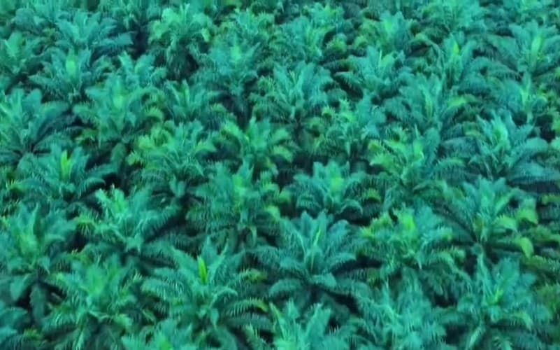 TAPG Cetak Laba Bersih Rp3,84 Triliun di 2025, Tumbuh 19 Persen TAPG Cetak Laba Bersih Rp3,84 Triliun di 2025, Tumbuh 19 Persen