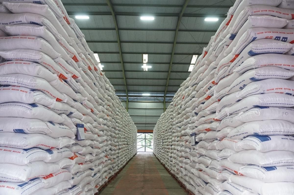 Mentan Proyeksikan Stok Cadangan Beras Pemerintah Capai 3,3 Juta Ton di Awal 2026 Mentan Proyeksikan Stok Cadangan Beras Pemerintah Capai 3,3 Juta Ton di Awal 2026