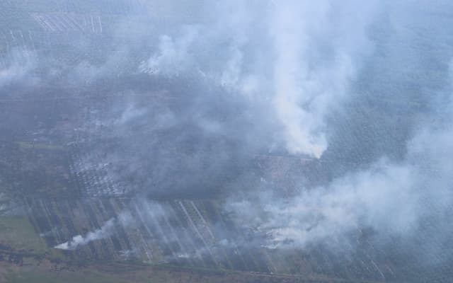 Ancaman Karhutla Besar Berpotensi Terjadi di 2027 Imbas Siklus Empat Tahunan Musim Kering Ancaman Karhutla Besar Berpotensi Terjadi di 2027 Imbas Siklus Empat Tahunan Musim Kering