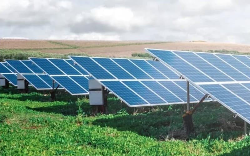 Proyek Energi Angin dan Surya Global Tumbuh 11 Persen 2025 Proyek Energi Angin dan Surya Global Tumbuh 11 Persen 2025