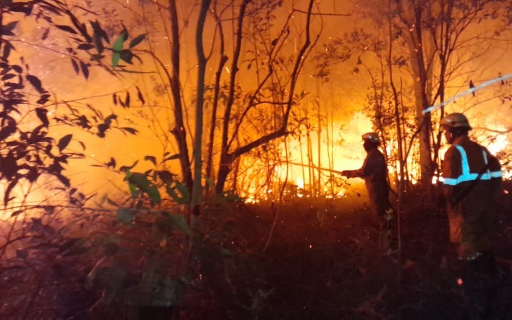BMKG Deteksi 201 Titik Panas Diduga Karhutla di Riau, Ini Rinciannya BMKG Deteksi 201 Titik Panas Diduga Karhutla di Riau, Ini Rinciannya
