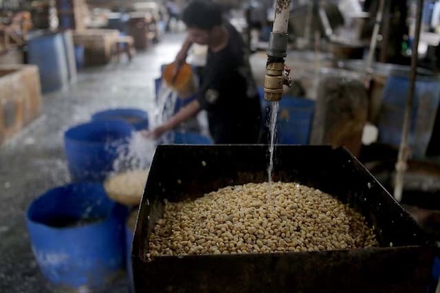 Pemerintah Jamin Harga Kedelai Terkendali demi Jaga Industri Tahu Tempe Pemerintah Jamin Harga Kedelai Terkendali demi Jaga Industri Tahu Tempe