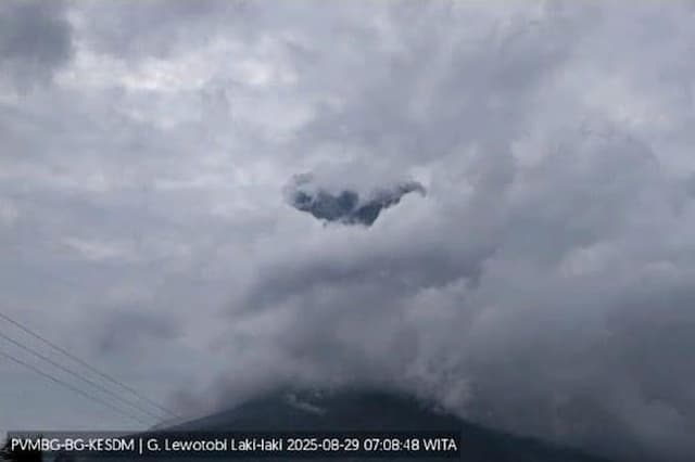 Gunung Lewotobi Laki-Laki Meletus 2 Kali Siang Ini, Kolom Abu Capai 1.500 Meter Gunung Lewotobi Laki-Laki Meletus 2 Kali Siang Ini, Kolom Abu Capai 1.500 Meter