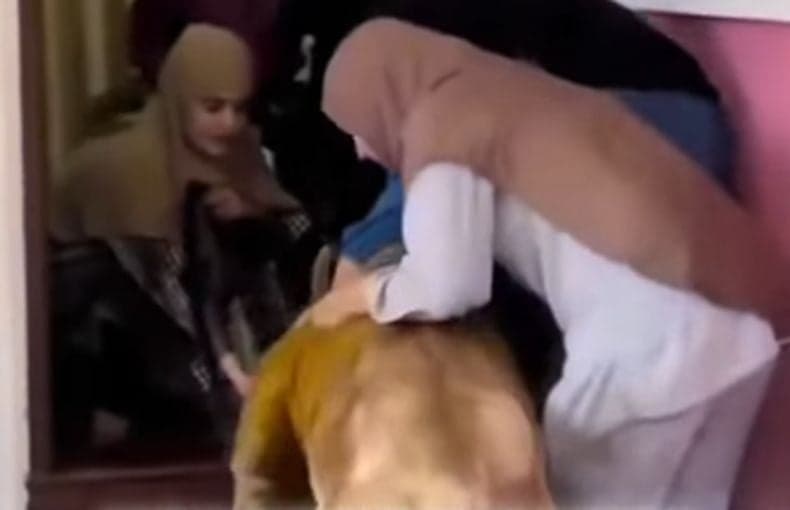 Viral, 2 Muslimah Berhijab Selamatkan Singa dari Banjir Thailand Viral, 2 Muslimah Berhijab Selamatkan Singa dari Banjir Thailand