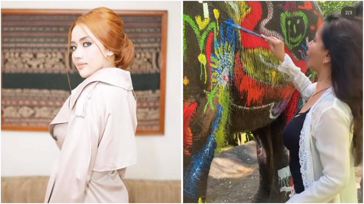 Miss Earth 2019 Lirabica Murka Gajah di Mason Elephant Park and Lodge Bali Dicoret-coret Cat! Miss Earth 2019 Lirabica Murka Gajah di Mason Elephant Park and Lodge Bali Dicoret-coret Cat!