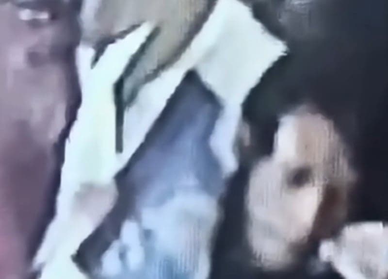 Pria Viral di Tambora Jakbar Ternyata Bukan Gendong Mayat, Ini Kata Polisi Pria Viral di Tambora Jakbar Ternyata Bukan Gendong Mayat, Ini Kata Polisi