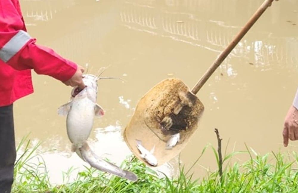 Ikan-Ikan di Sungai Cisadane Mati Tercemar Pestisida, Polisi Larang Warga Konsumsi Ikan-Ikan di Sungai Cisadane Mati Tercemar Pestisida, Polisi Larang Warga Konsumsi