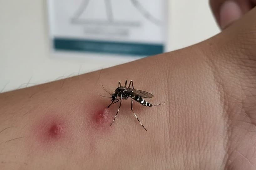 Indonesia Cetak Rekor Terendah Kematian DBD Indonesia Cetak Rekor Terendah Kematian DBD