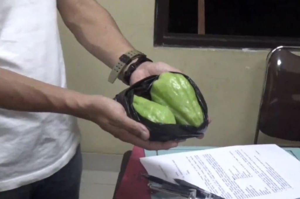 Tepergok Curi 2 Labu, Warga Cianjur Tewas Dianiaya Penjaga Kebun Tepergok Curi 2 Labu, Warga Cianjur Tewas Dianiaya Penjaga Kebun