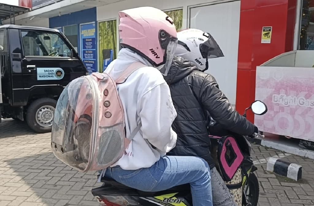 Cerita Unik Mudik Lebaran 2026: Pemudik asal Bogor Bawa 2 Kucing Naik Motor ke Purbalingga Cerita Unik Mudik Lebaran 2026: Pemudik asal Bogor Bawa 2 Kucing Naik Motor ke Purbalingga