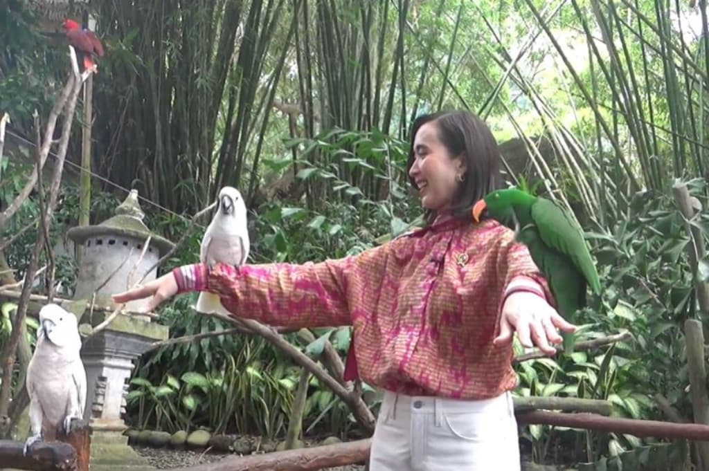 Menpar Sebut 377 Penerbangan ke Indonesia Dibatalkan Dampak Konflik Timur Tengah Menpar Sebut 377 Penerbangan ke Indonesia Dibatalkan Dampak Konflik Timur Tengah