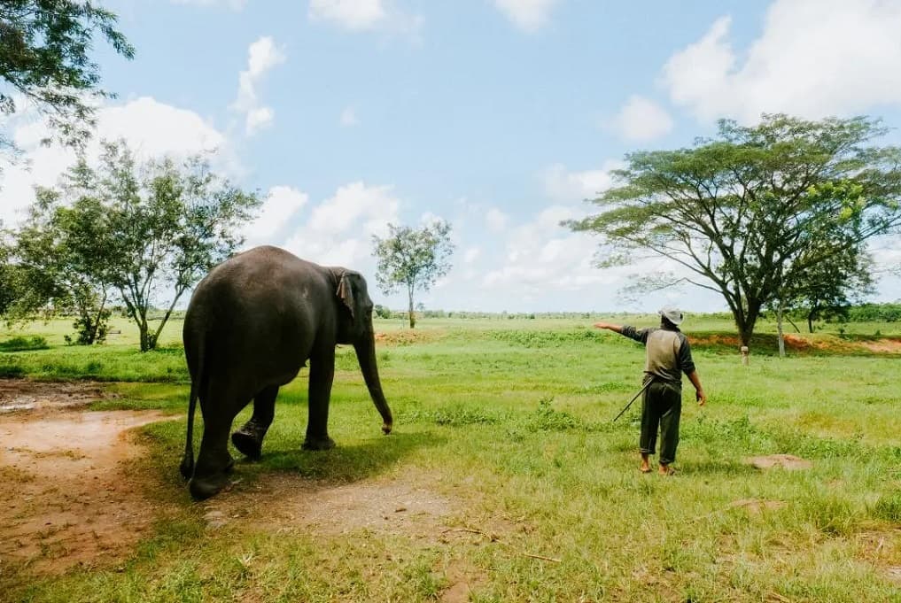 Menhut Ungkap Arahan Prabowo: Pagar TN Way Kambas 138 Km Ditargetkan Rampung Akhir 2026 Menhut Ungkap Arahan Prabowo: Pagar TN Way Kambas 138 Km Ditargetkan Rampung Akhir 2026