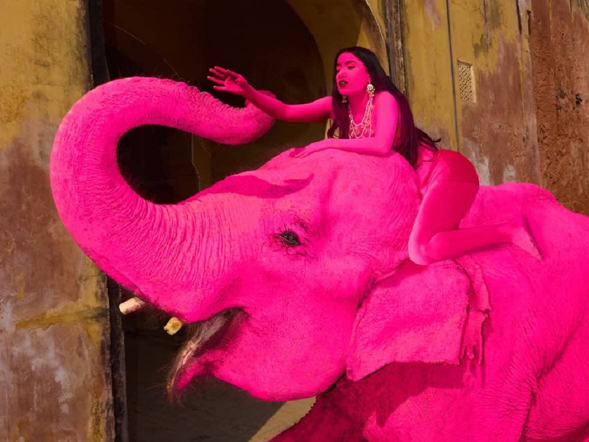 Viral Gajah Mati Diduga akibat Dicat Pink demi Konten Medsos, Ini Faktanya! Viral Gajah Mati Diduga akibat Dicat Pink demi Konten Medsos, Ini Faktanya!