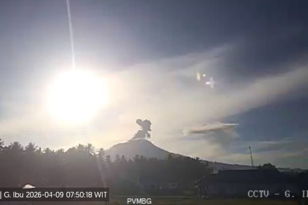 Gunung Ibu Meletus, Muntahkan Kolom Abu 700 Meter ke Langit Halmahera Barat Gunung Ibu Meletus, Muntahkan Kolom Abu 700 Meter ke Langit Halmahera Barat