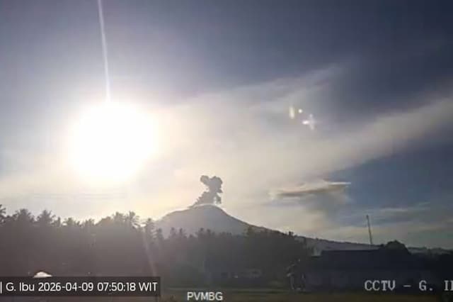 Gunung Ibu Meletus, Muntahkan Kolom Abu 700 Meter ke Langit Halmahera Barat Gunung Ibu Meletus, Muntahkan Kolom Abu 700 Meter ke Langit Halmahera Barat