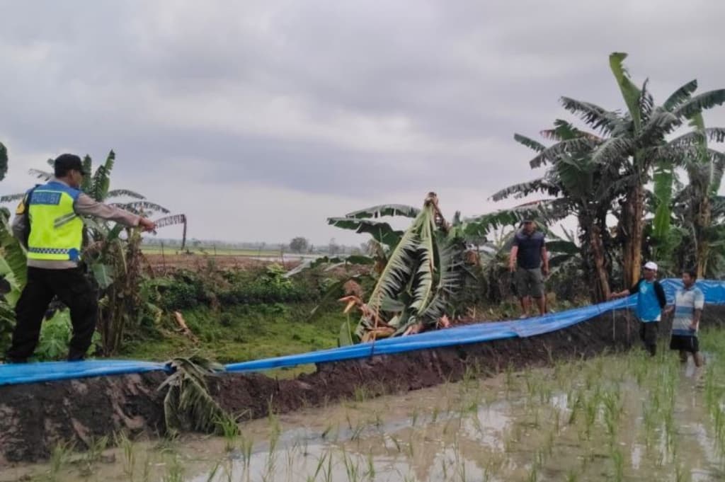 Lansia di Grobogan Tersambar Petir di Sawah, Langsung Tewas Seketika Lansia di Grobogan Tersambar Petir di Sawah, Langsung Tewas Seketika