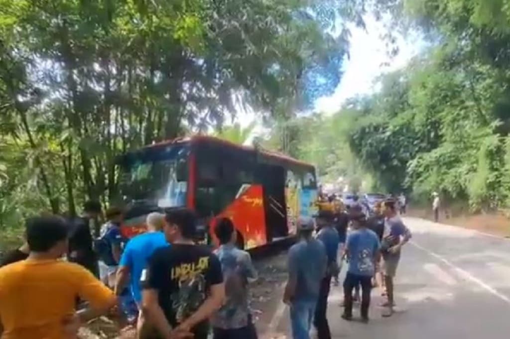 Kronologi Kecelakaan Beruntun Bus Trans Jateng di Purworejo, Berawal dari Kucing Melintas Kronologi Kecelakaan Beruntun Bus Trans Jateng di Purworejo, Berawal dari Kucing Melintas