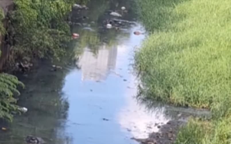 Kali Ciliwung di Menteng Dibersihkan usai Ramai Disorot, Pramono: Semakin Diviralkan, Makin Baik Kali Ciliwung di Menteng Dibersihkan usai Ramai Disorot, Pramono: Semakin Diviralkan, Makin Baik